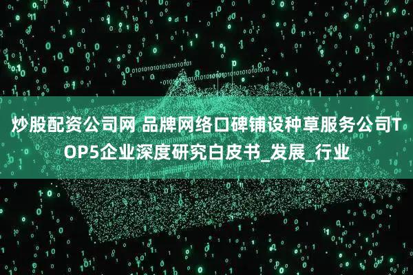 炒股配资公司网 品牌网络口碑铺设种草服务公司TOP5企业深度研究白皮书_发展_行业